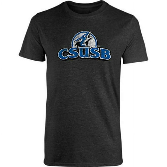 W Republic Apparel 507-207-E27-03 Established Tes, California State San Bernardino, Black - Large