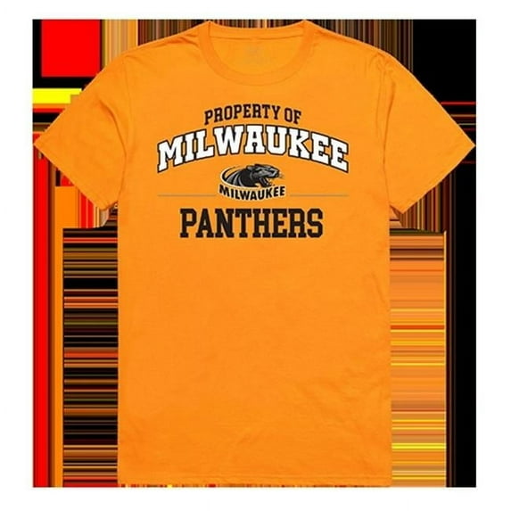 W Republic Apparel 517-199-329-01 University of Wisconsin-Milwaukee Property College Tee Shirt, Brown - Small