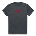 thumbnail image 1 of W Republic Apparel 519-145-E9C-01 University of Richmond Cinder Mens Tee Shirt - Heather Charcoal, Small, 1 of 2