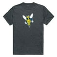 thumbnail image 1 of W Republic Apparel 519-146-E9C-01 University of Rochester Cinder Tee for Men, Heather Charcoal - Small, 1 of 1