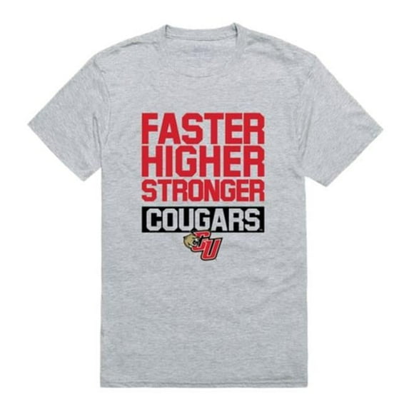 W Republic Caldwell University Cougars Workout T-Shirt, Heather Grey - Medium