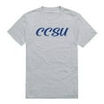thumbnail image 1 of W Republic  Chaudhary Charan Singh University Script T-Shirt, Heather Grey - Extra Large, 1 of 1