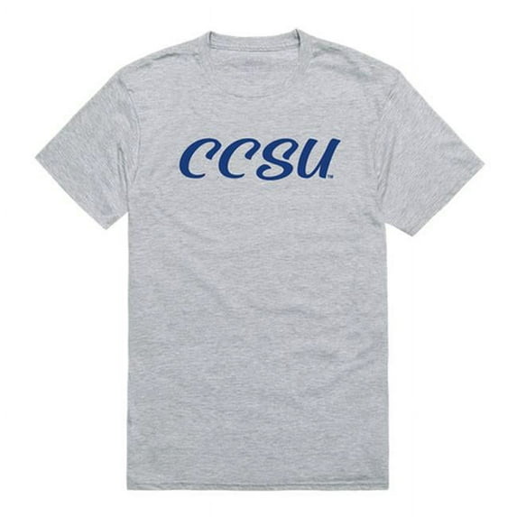 W Republic Chaudhary Charan Singh University Script T-Shirt, Heather Grey - Extra Large