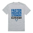 thumbnail image 1 of W Republic  Daemen University Wildcats Workout T-Shirt, Heather Grey - Extra Large, 1 of 1