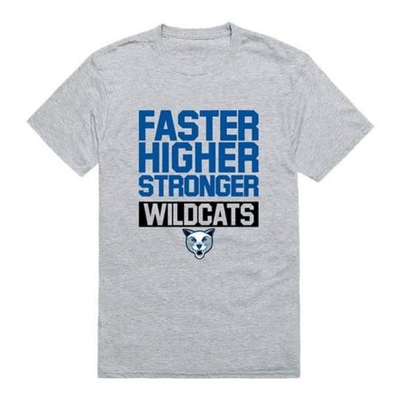 W Republic Daemen University Wildcats Workout T-Shirt, Heather Grey - Small