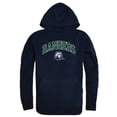 thumbnail image 1 of W Republic  Drew University Rangers Campus Hoodie, Navy - Medium, 1 of 1