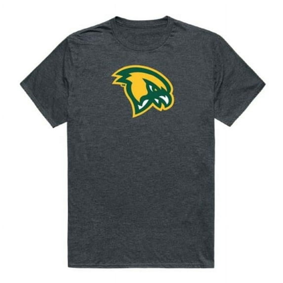 W Republic Fitchburg State University Falcons Cinder College T-Shirt, Heather Charcoal - 2XL