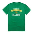 thumbnail image 1 of W Republic  Fitchburg State University Falcons Property College T-Shirt, Kelly - Small, 1 of 1