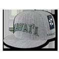 thumbnail image 1 of W Republic Game Day Fitted Hawaii, Heather Grey - Size 7.63, 1 of 1