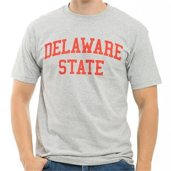 W Republic Game Day Tee Delaware State- Heather Grey - Small