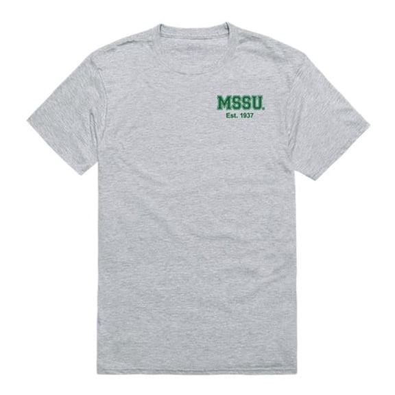 W Republic  Missouri Southern State University Lions Practice T-Shirt, Heather Grey - Small