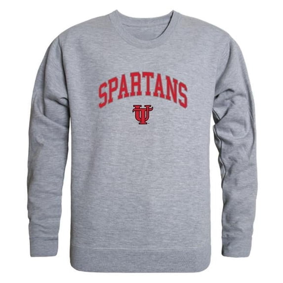 W Republic 541-448-HGY-01 NCAA University Tampa Spartans Campus Crewneck T-Shirt, Heather Gray - Small