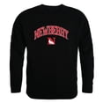 thumbnail image 1 of W Republic  Newberry College Wolves Campus Crewneck Sweatshirt, Black - Extra Large, 1 of 1