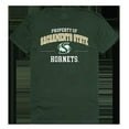 thumbnail image 1 of W Republic Products 517-231-G75-04 Sacramento State University Property College Tee, Forest - Extra Large, 1 of 1