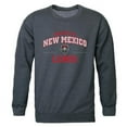 thumbnail image 1 of W Republic Products 545-182-HC2-03 University of New Mexico Property of Crewneck T-Shirt, Heather Charcoal - Large, 1 of 1