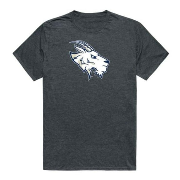 W Republic St. Edwards University Hilltoppers Cinder College T-Shirt, Heather Charcoal - Medium