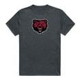 thumbnail image 1 of W Republic  State University of New York Potsdam Bears Cinder College T-Shirt, Heather Charcoal - Small, 1 of 1