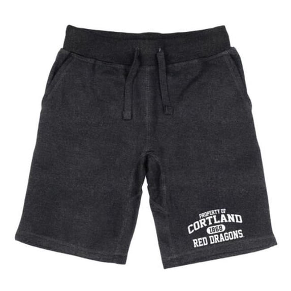 W Republic 566-712-HCH-01 State University of New York at Geneseo Cortland Red Dragons Property Shorts, Heather Charcoal - Small