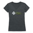 thumbnail image 1 of W Republic  University of Portland Institutional T-Shirt for Women, Heather Charcoal 2 - Large, 1 of 1
