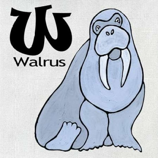 W - Walrus Canvas Art - Shanni Welsh (24 x 24)