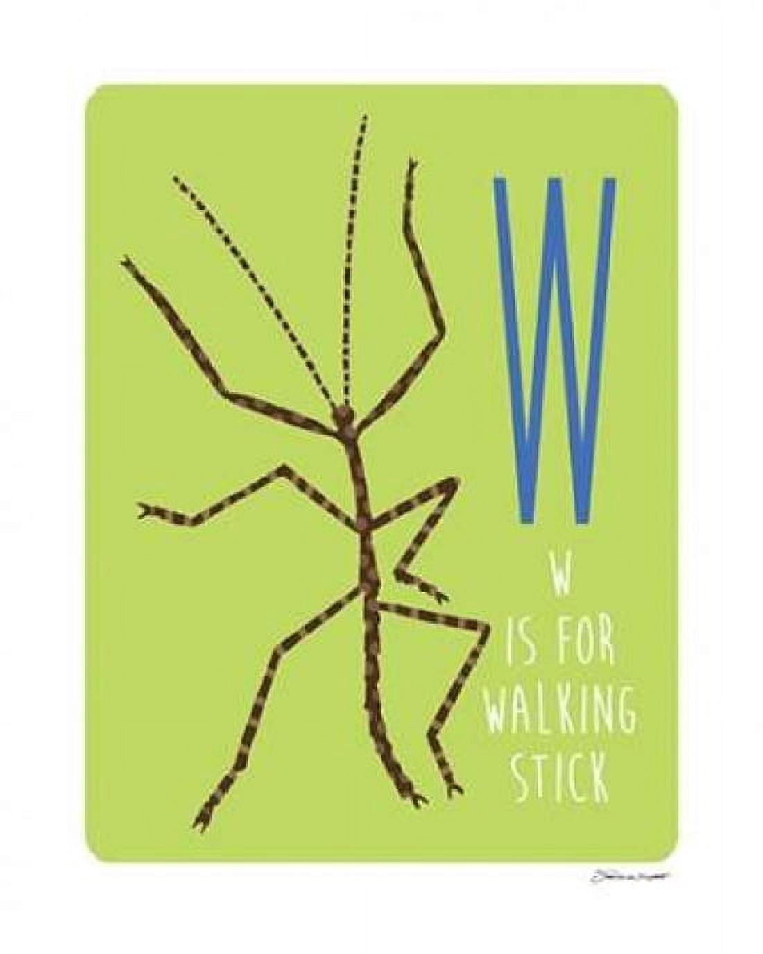 W is For Walking Stick Canvas Art - Stephanie Marrott (24 x 30)