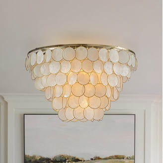 Shell Light Fixture