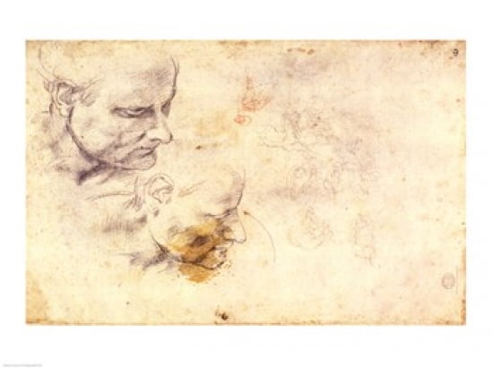 W60 Sketch of a male head in two positions Canvas Art - Michelangelo Buonarroti (24 x 18)