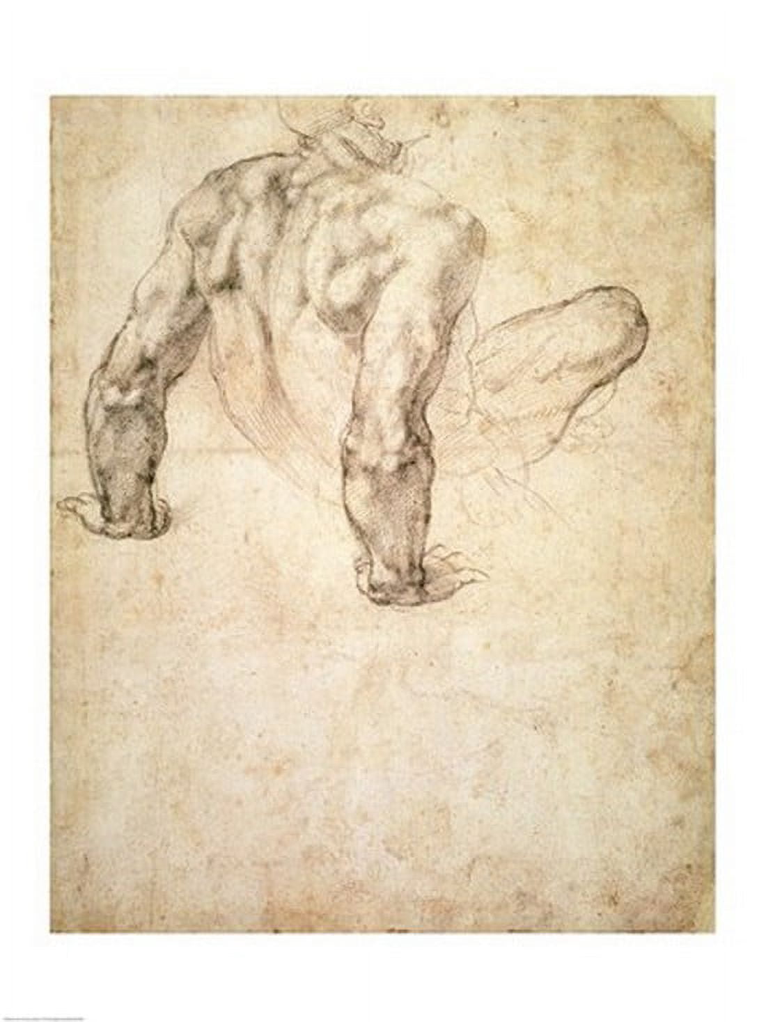 W63r Study of a male nude leaning back on his hands Canvas Art - Michelangelo Buonarroti (18 x 24)