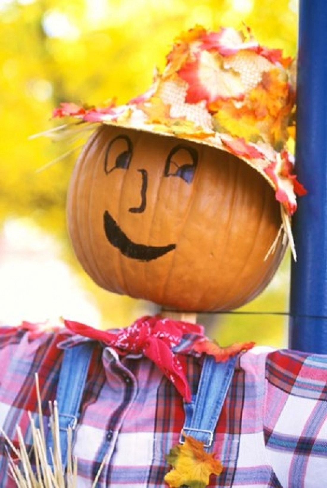 WA Chelan Halloween holiday Scarecrow Canvas Art - Rob Tilley DanitaDelimont (11 x 17)