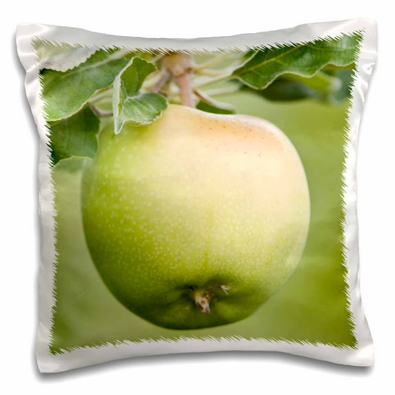 3dRose, WA, Columbia River Valley, Granny Apple agriculture - US48 RTI0214 - Rob Tilley, 16x16 inch Pillow Case
