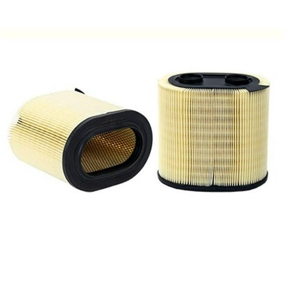 WA9800 Panel Air Filter