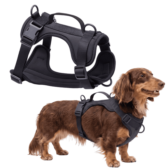 WAAYEEPAL Adjustable Dog Harness with Lift Handle, Soft PVC Breathable Pet Vest (S, Black)