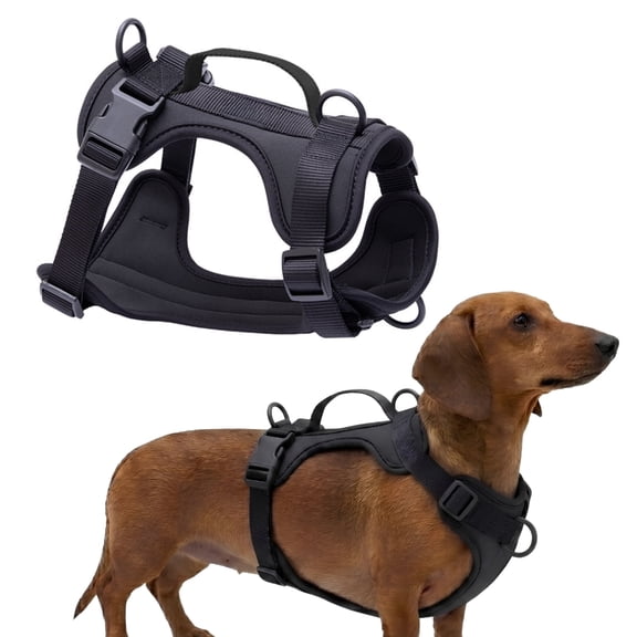 WAAYEEPAL Adjustable Dog Harness with Lift Handle, Soft PVC Breathable Pet Vest (S, Black)