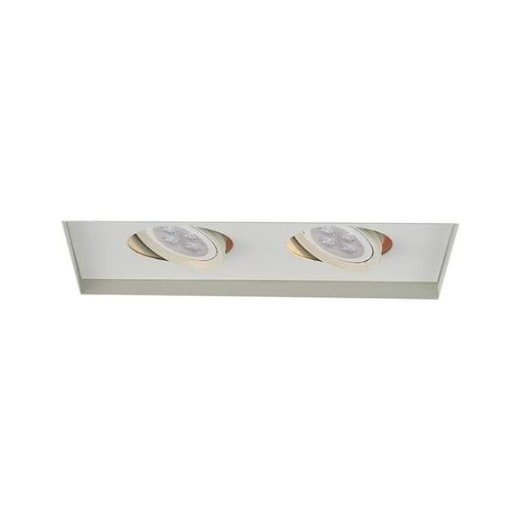 WAC Lighting 2-Light LED Low Voltage Multiple Aluminum Invisible Trim in White