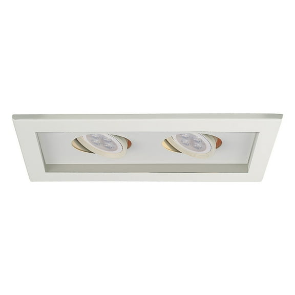 WAC Lighting 2-Light LED Low Voltage Multiple Aluminum Trim in White