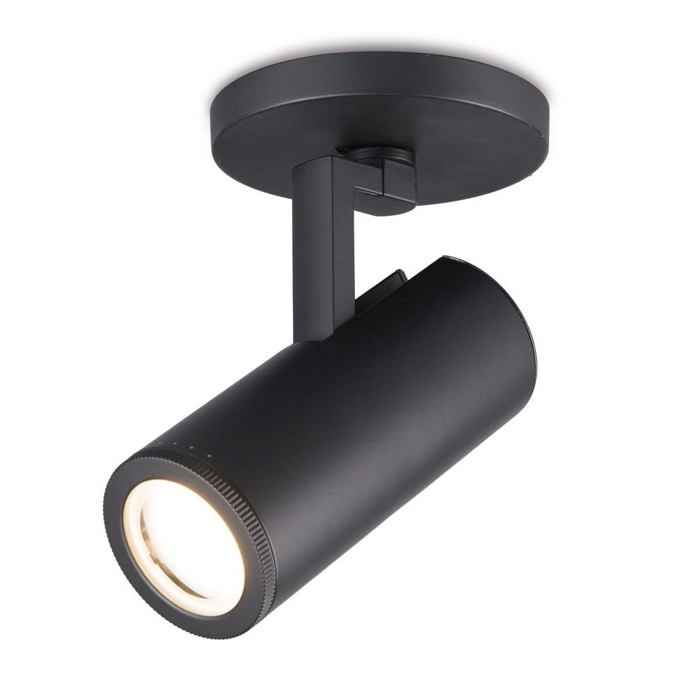 Paloma Adjustable Black LED Spotlight with Clear Glass Lens