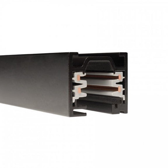 WAC Lighting 8ft W Track W2 120V Two Circuit Recessed Track Flanged Black