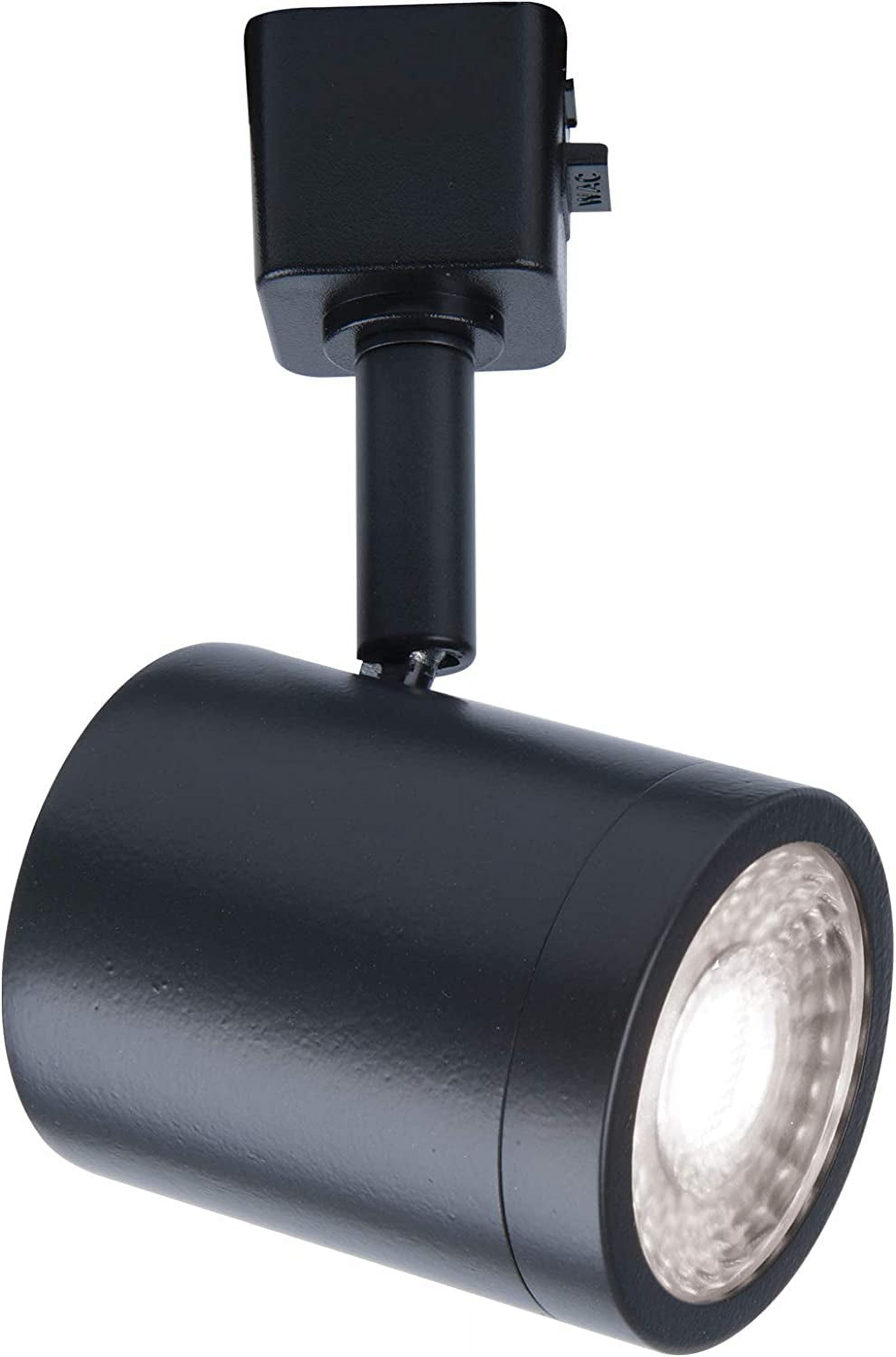 Black Adjustable LED Track Head with Clear Glass Shade
