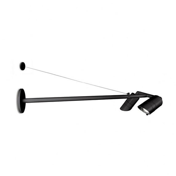 WAC Lighting Endurance 2-Light 3000K LED Aluminum Signage Light in Black