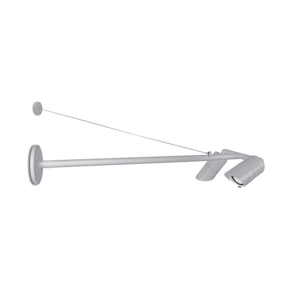 WAC Lighting Endurance 2-Light 4000K LED Aluminum Signage Light in Gray/Clear