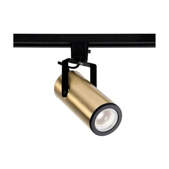 WAC Lighting L-2020-927-BR LED2020 Silo X20 Beamshift Head L Track Fixture
