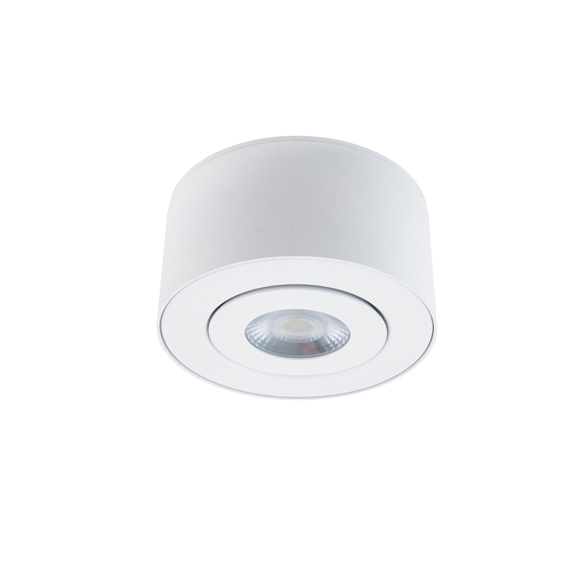 Contemporary White Aluminum LED Flush Mount for Indoor/Outdoor