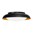 thumbnail image 1 of WAC Lighting Taurus 18" 1-Light 3-CCT LED Aluminum Flush Mount in Black, 1 of 4