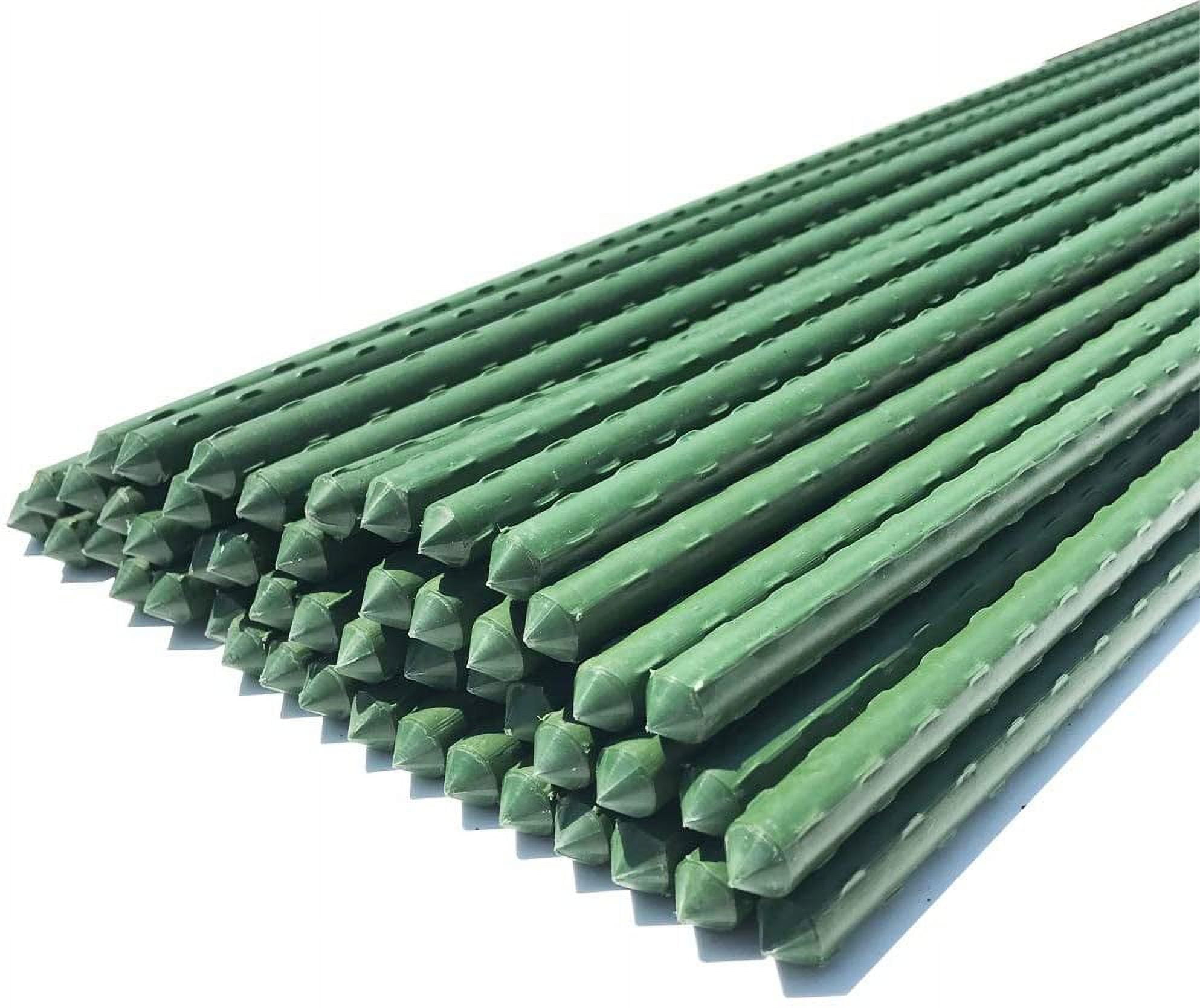 Waenlir Garden Stakes 60 inch 5ft Sturdy Plant Sticks/Support, Tomato Stakes, Pack of 50, Size: 5ft 50Pack, Green