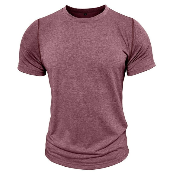 WAENQINLA Men Summer Athletic Shirts Classic Solid Color T-Shirt Round Neck Pullover Shirt Soft Comfy Short Sleeves Tops