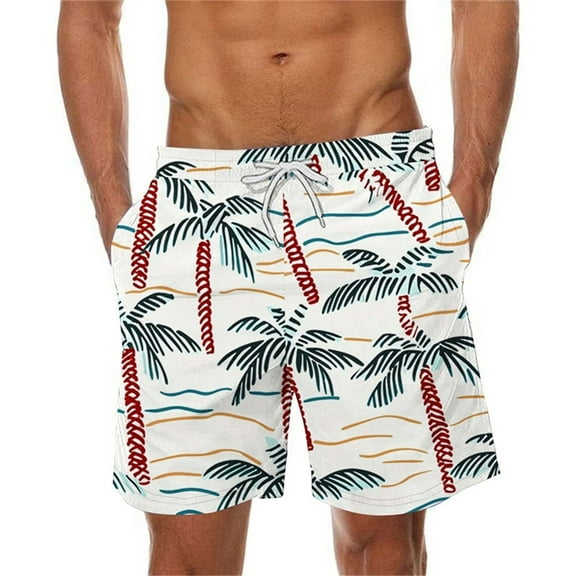 WAENQINLA Men Swim Trunks Drawstring Elastic Waist Quick Dry Beach Shorts with Pockets Big and Tall Swimwear Bathing Suits