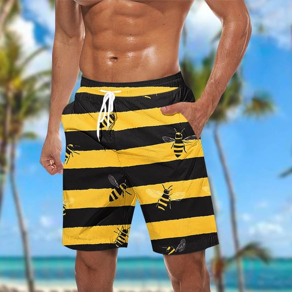 WAENQINLA Men Swim Trunks Swimming Beach Striped Surfing Board Shorts Swimwear Elastic Waist Quick Dry Bathing Suits with Pockets