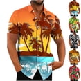 thumbnail image 1 of WAENQINLA Men's Short Sleeve Hawaiian Shirt 3D Graphic Summer Button Down Casual Shirts Luau Holiday Beach Shirt, 1 of 5