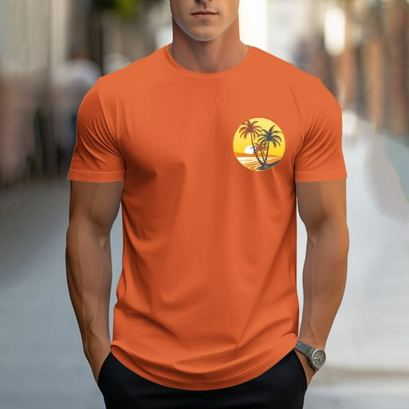 WAENQINLA Mens Graphic Tee Short Sleeve Palm Tree Sunset Print T-Shirts Crewneck Casual Summer Vacation Shirt Trendy Tops