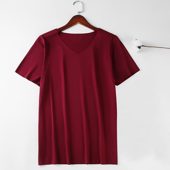 WAENQINLA Mens Ice-Silk T-Shirts Summer 2025 Lightweight V Neck Athletic Tee Comfort Workout Short Sleeve Pullover for Running